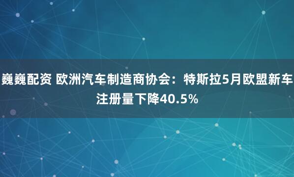 巍巍配资 欧洲汽车制造商协会：特斯拉5月欧盟新车注册量下降40.5%