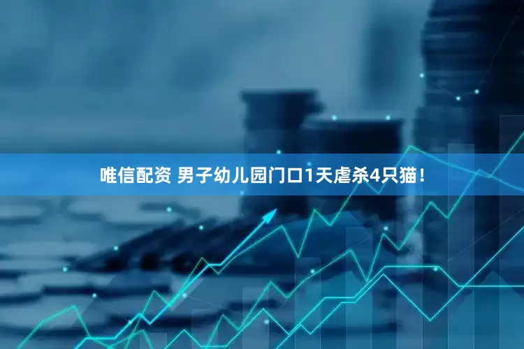 唯信配资 男子幼儿园门口1天虐杀4只猫！