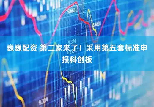 巍巍配资 第二家来了！采用第五套标准申报科创板