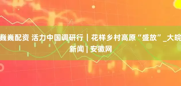 巍巍配资 活力中国调研行｜花样乡村高原“盛放”_大皖新闻 | 安徽网