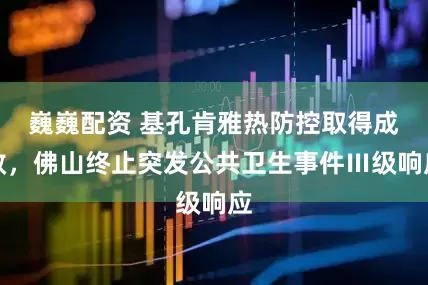 巍巍配资 基孔肯雅热防控取得成效，佛山终止突发公共卫生事件Ⅲ级响应