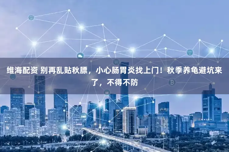 维海配资 别再乱贴秋膘,小心肠胃炎找上门!秋季养龟避坑来了,不得不防