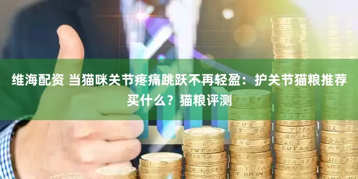 维海配资 当猫咪关节疼痛跳跃不再轻盈:护关节猫粮推荐买什么?猫粮评测