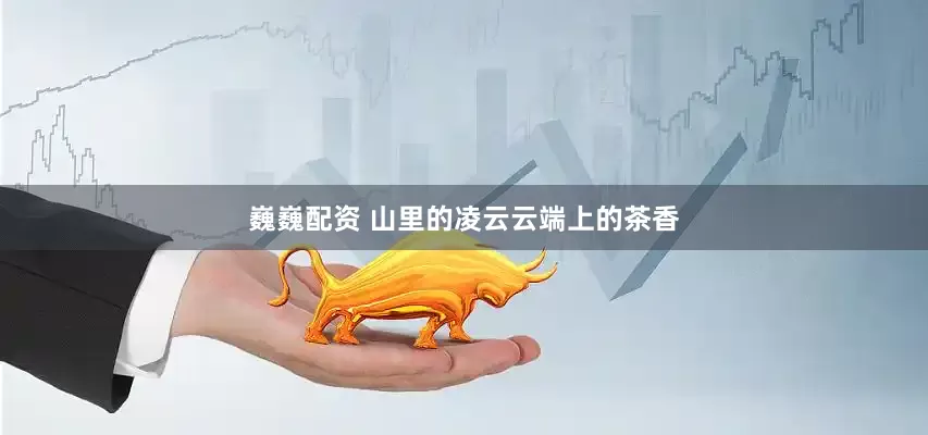 巍巍配资 山里的凌云云端上的茶香